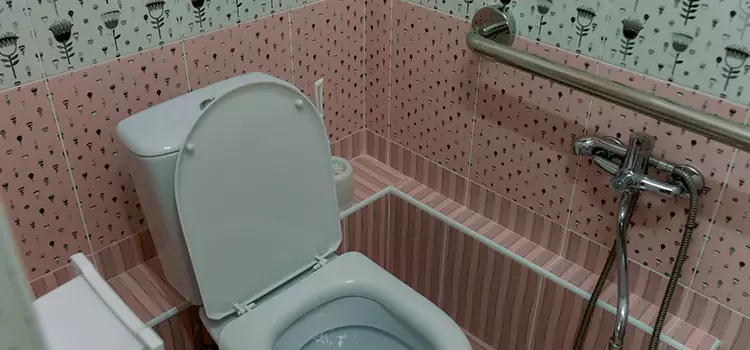 Meeting Diverse Needs With Accessible Restroom Solutions in Laguna Beach, CA